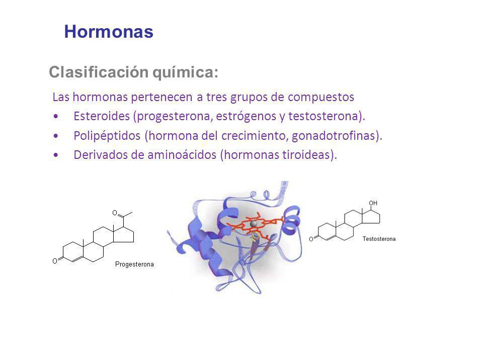 Hormonas Clasificación química: