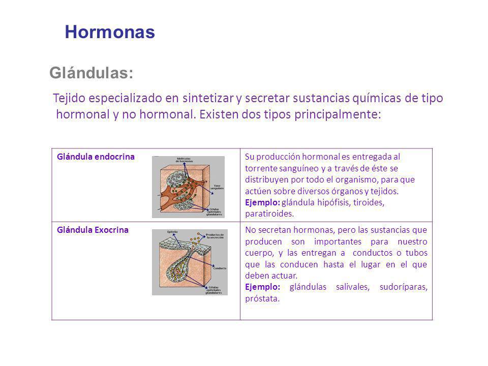 Hormonas Glándulas: