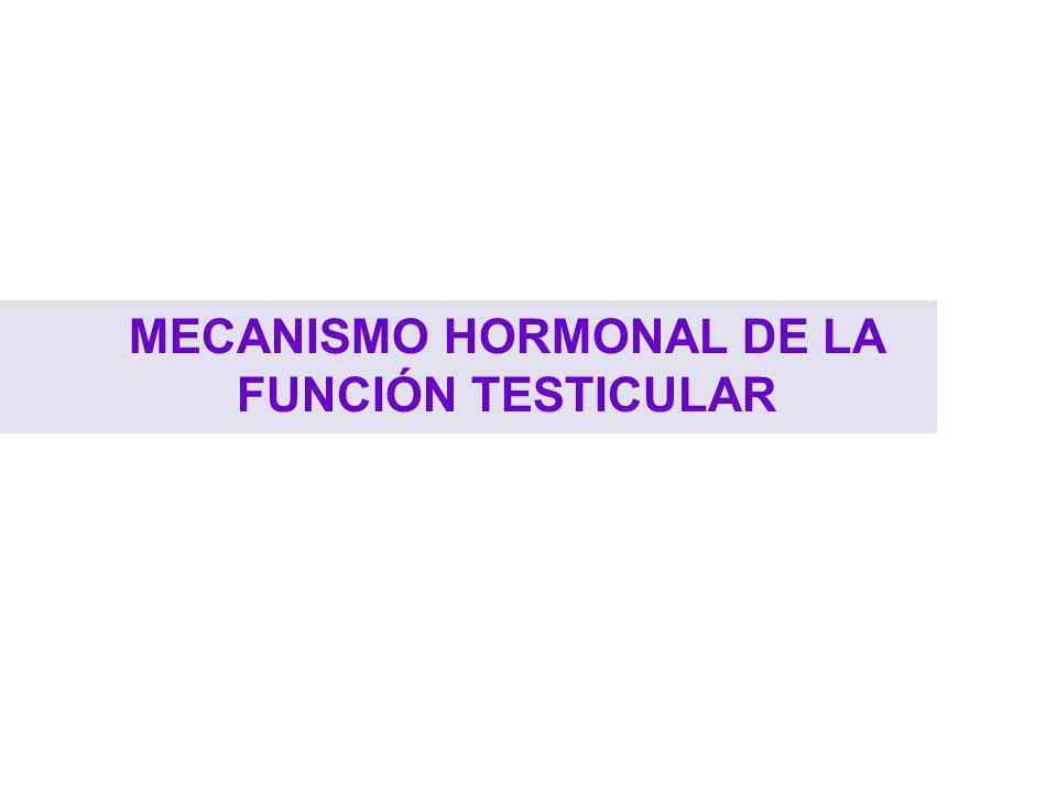 MECANISMO HORMONAL DE LA FUNCIÓN TESTICULAR