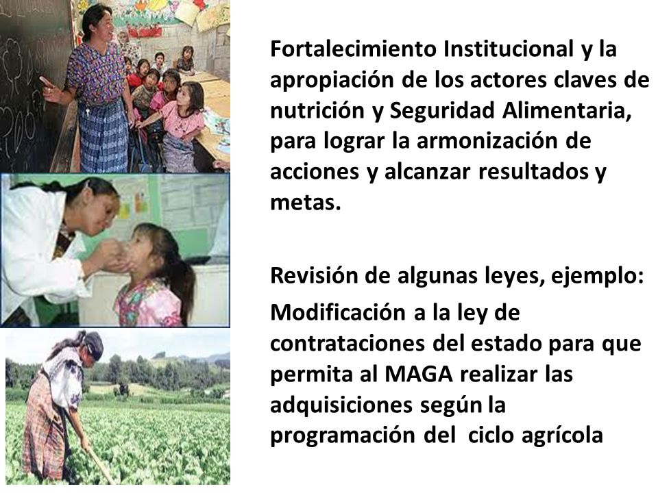 Fortalecimiento Institucional y la apropiación de los actores claves de nutrición y Seguridad Alimentaria, para lograr la armonización de acciones y alcanzar resultados y metas.
