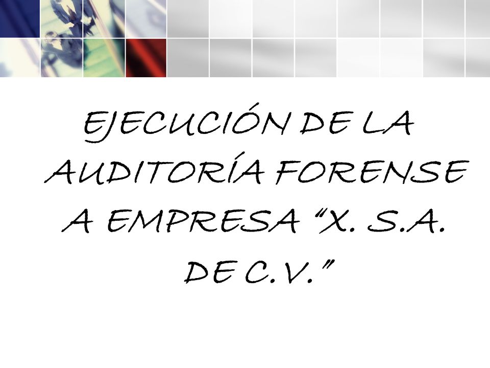 EJECUCIÓN DE LA AUDITORÍA FORENSE A EMPRESA X. S.A. DE C.V.