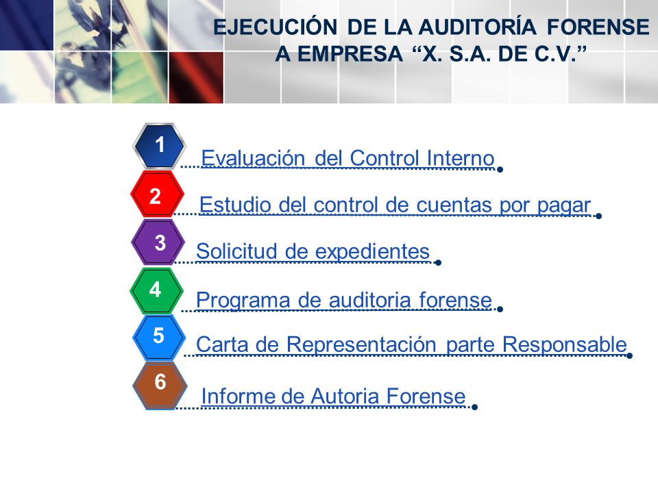 EJECUCIÓN DE LA AUDITORÍA FORENSE A EMPRESA X. S.A. DE C.V.