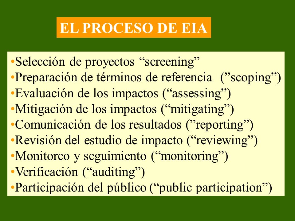 EL PROCESO DE EIA Selección de proyectos screening