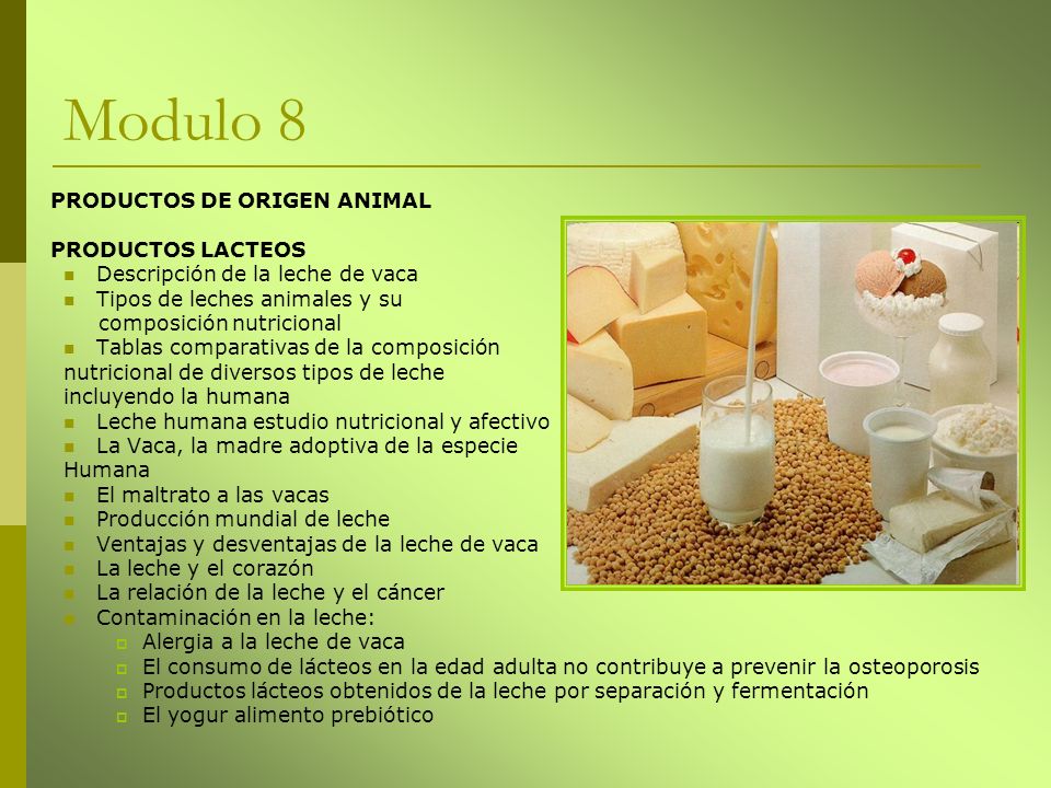 Modulo 8 PRODUCTOS DE ORIGEN ANIMAL PRODUCTOS LACTEOS
