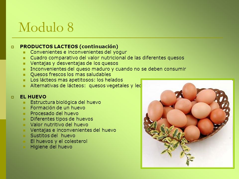 Modulo 8 PRODUCTOS LACTEOS (continuación)