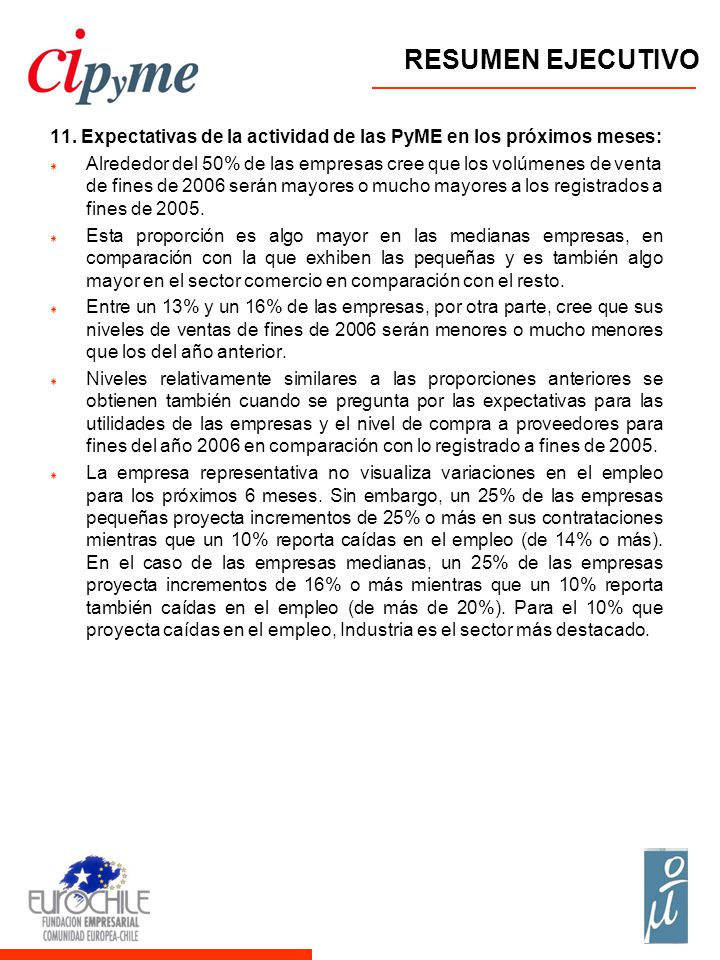 RESUMEN EJECUTIVO 11. Expectativas de la actividad de las PyME en los próximos meses: