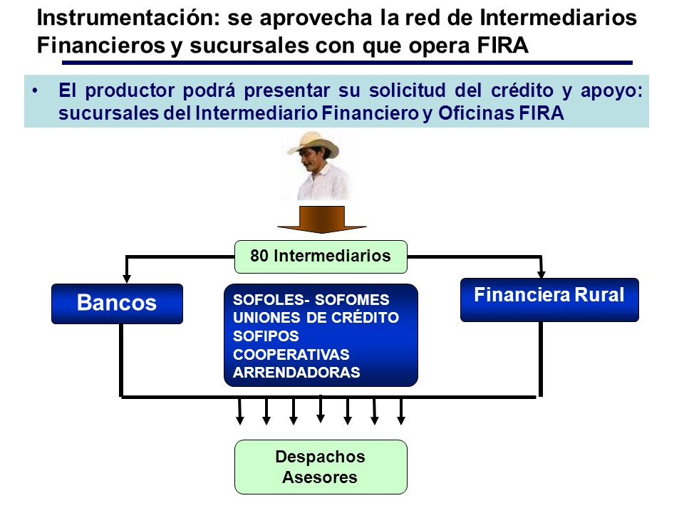 Instrumentación: se aprovecha la red de Intermediarios Financieros y sucursales con que opera FIRA