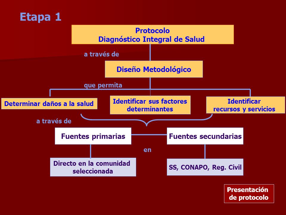 Etapa 1 Protocolo Diagnóstico Integral de Salud Diseño Metodológico