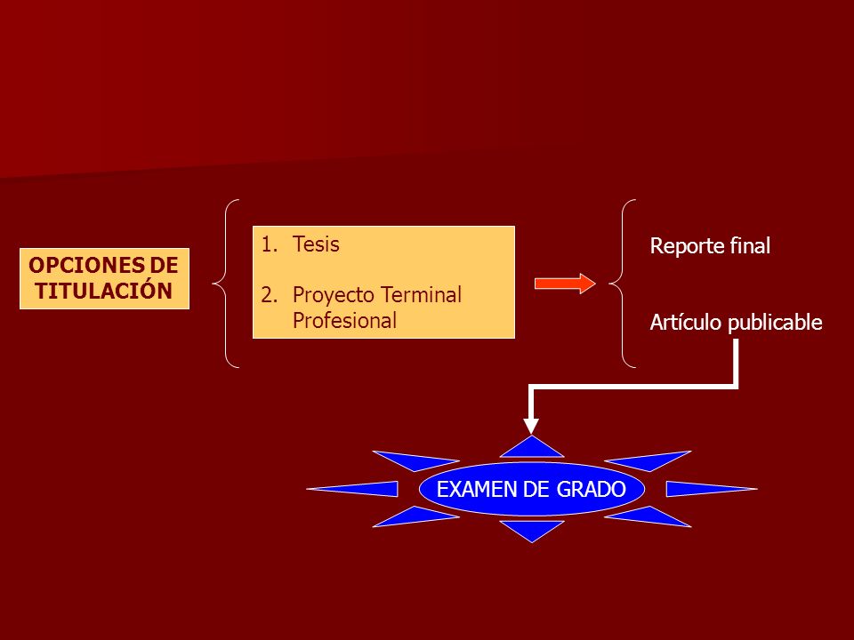 Tesis Proyecto Terminal Profesional. Reporte final. Artículo publicable. OPCIONES DE. TITULACIÓN.