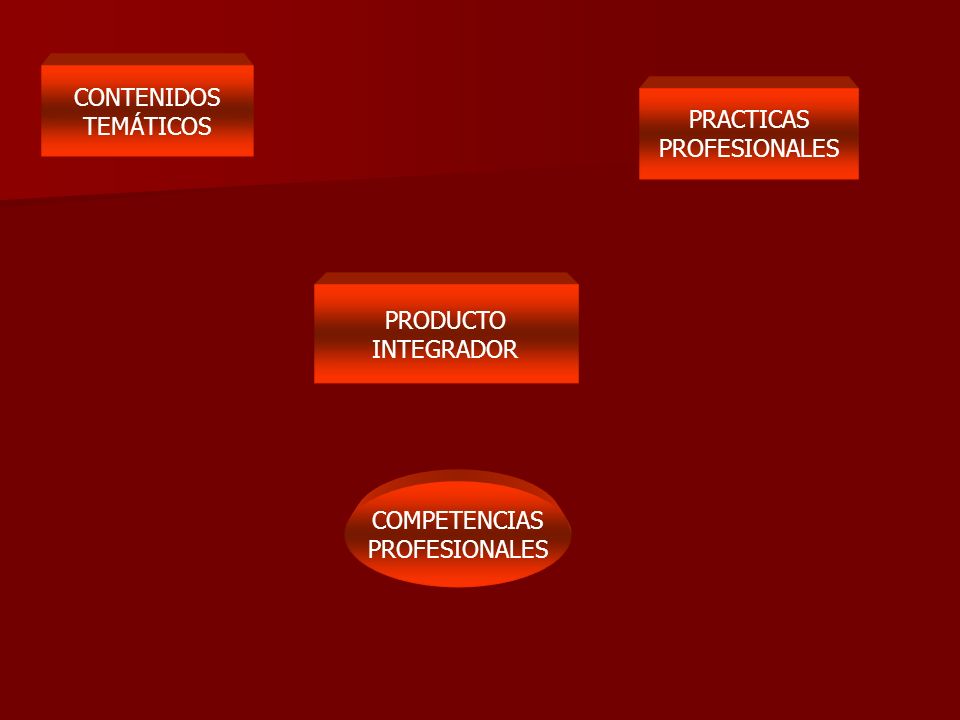 CONTENIDOS TEMÁTICOS PRACTICAS PROFESIONALES PRODUCTO INTEGRADOR COMPETENCIAS PROFESIONALES