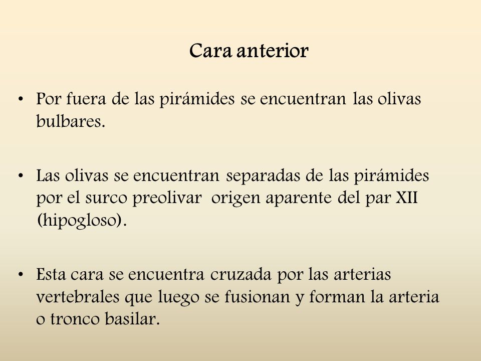 Cara anterior Por fuera de las pirámides se encuentran las olivas bulbares.