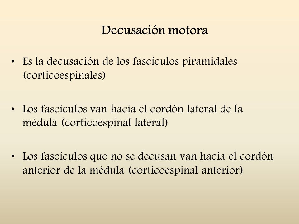 Decusación motora Es la decusación de los fascículos piramidales (corticoespinales)