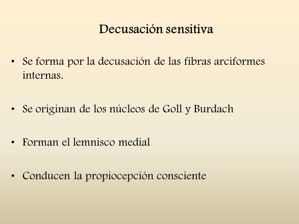 Decusación sensitiva Se forma por la decusación de las fibras arciformes internas. Se originan de los núcleos de Goll y Burdach.