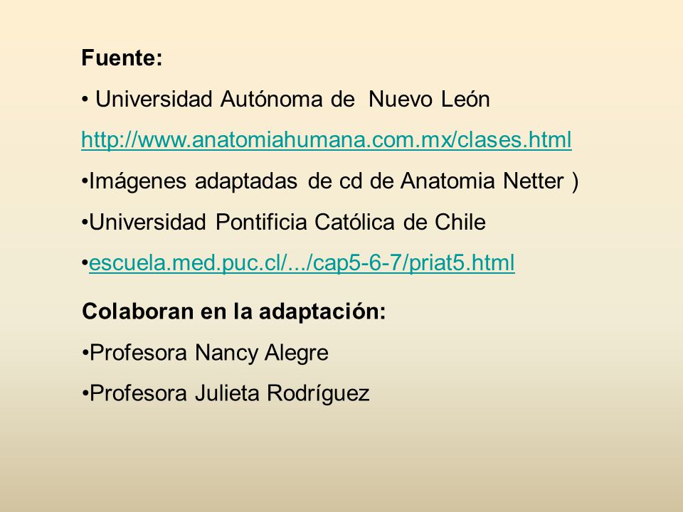 Fuente: Universidad Autónoma de Nuevo León.   Imágenes adaptadas de cd de Anatomia Netter )