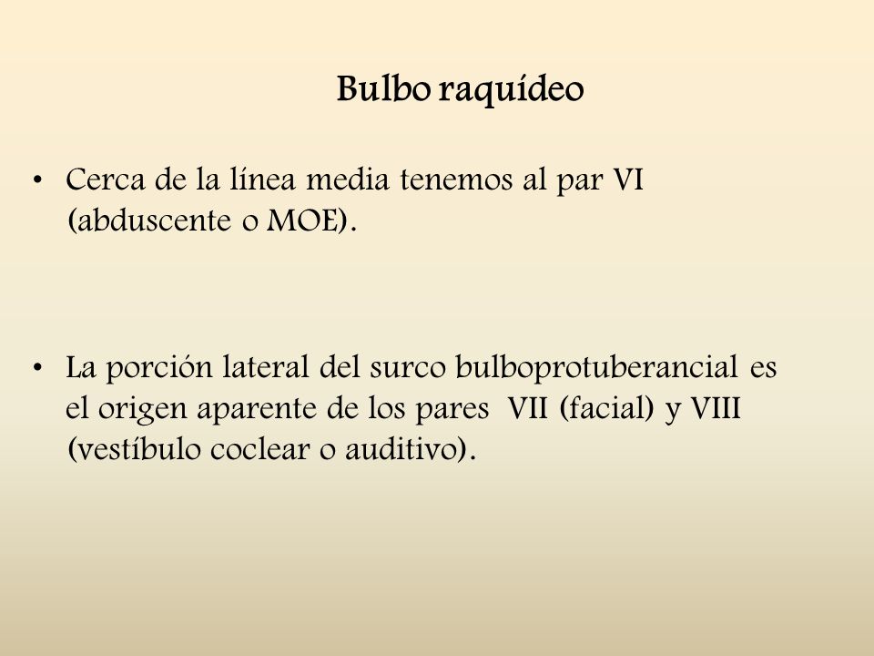Bulbo raquídeo Cerca de la línea media tenemos al par VI (abduscente o MOE).