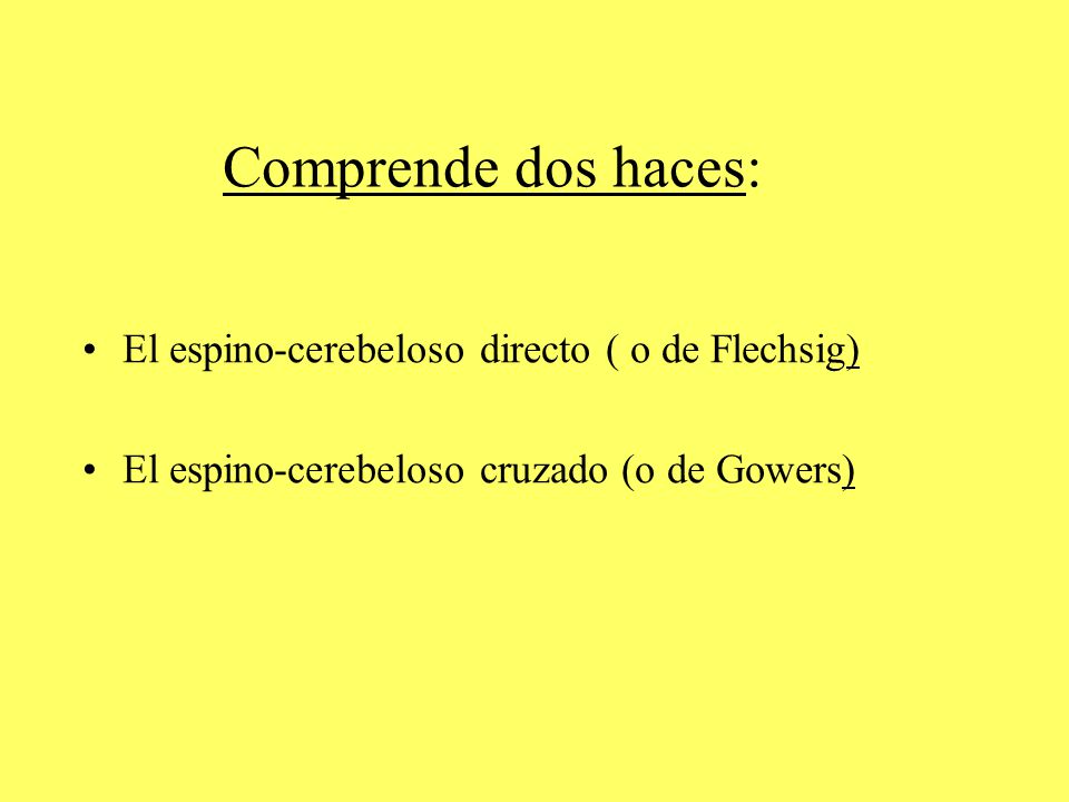Comprende dos haces: El espino-cerebeloso directo ( o de Flechsig)