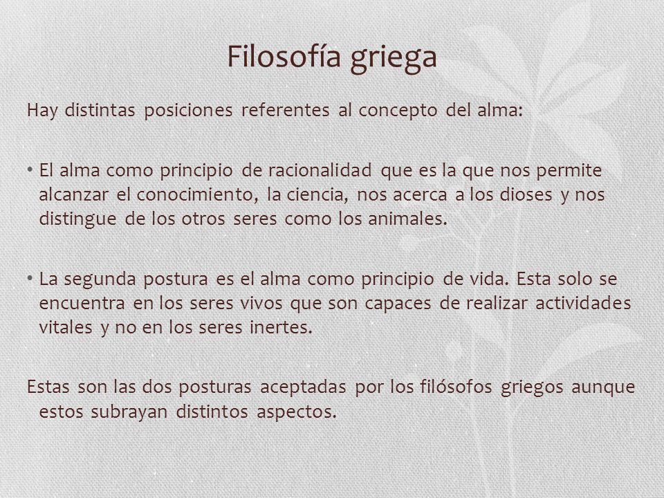 Filosofía griega Hay distintas posiciones referentes al concepto del alma: