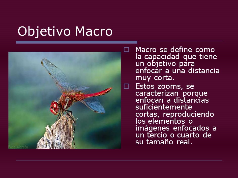 Objetivo Macro Macro se define como la capacidad que tiene un objetivo para enfocar a una distancia muy corta.