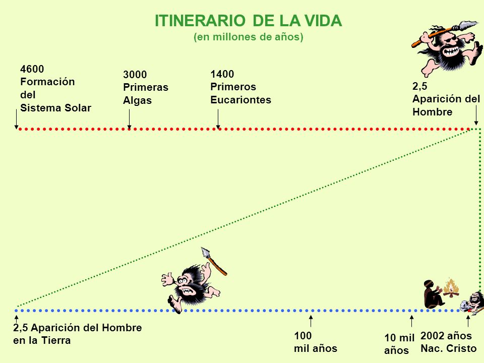ITINERARIO DE LA VIDA (en millones de años) Formación