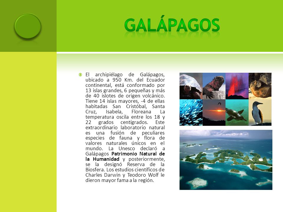 galápagos