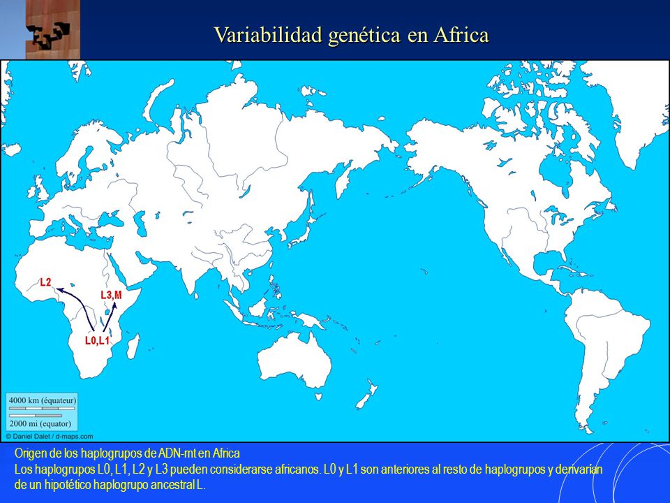 Variabilidad genética en Africa