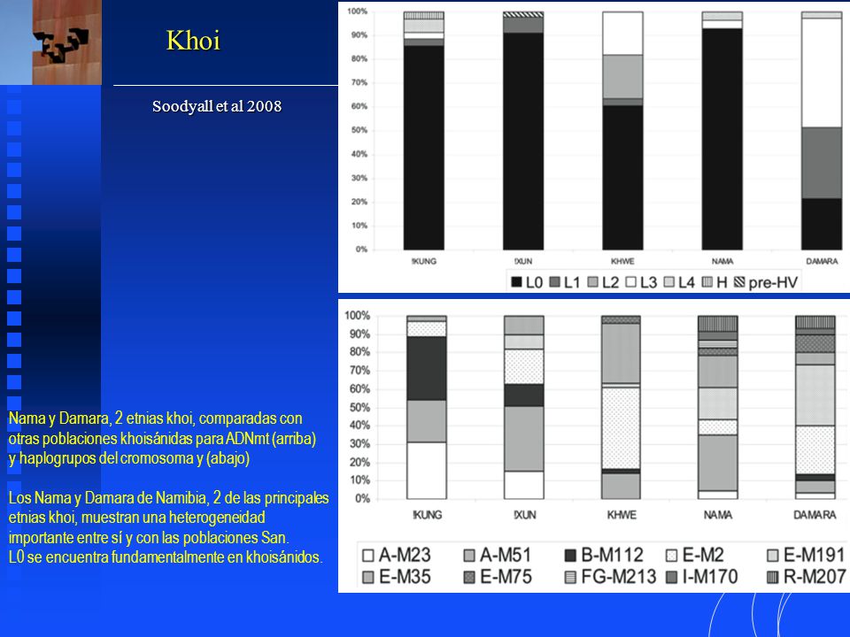 Khoi Soodyall et al Nama y Damara, 2 etnias khoi, comparadas con otras poblaciones khoisánidas para ADNmt (arriba)