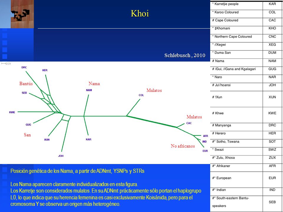 Khoi Schlebusch , Bantús. Nama. Mulatos. Mulatos. San. No africanos. Posición genética de los Nama, a partir de ADNmt, YSNPs y STRs.