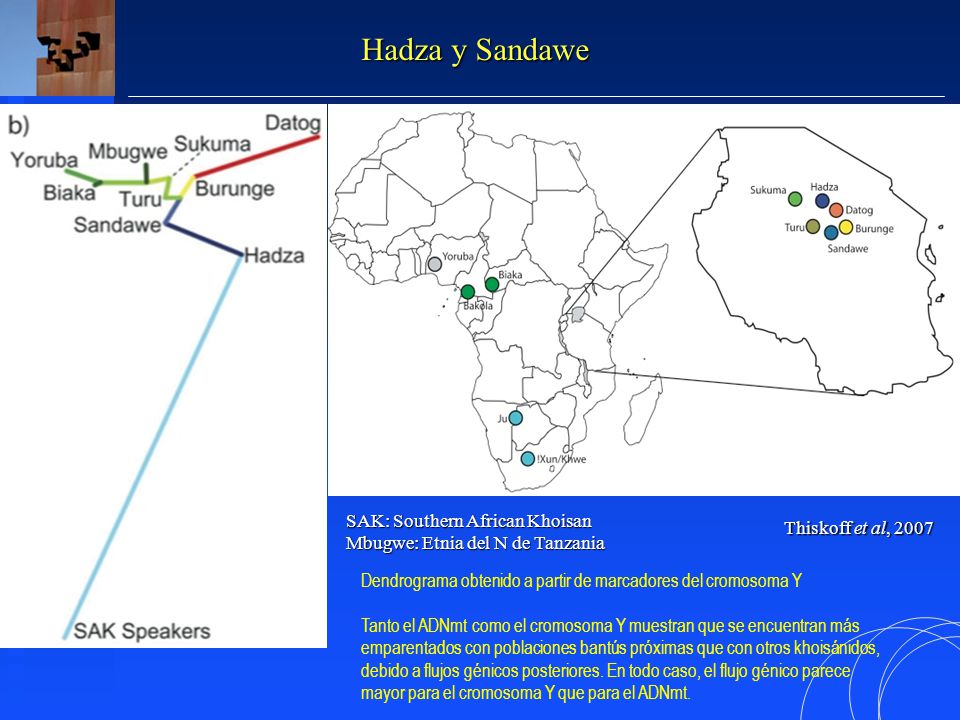 Hadza y Sandawe SAK: Southern African Khoisan Thiskoff et al, 2007