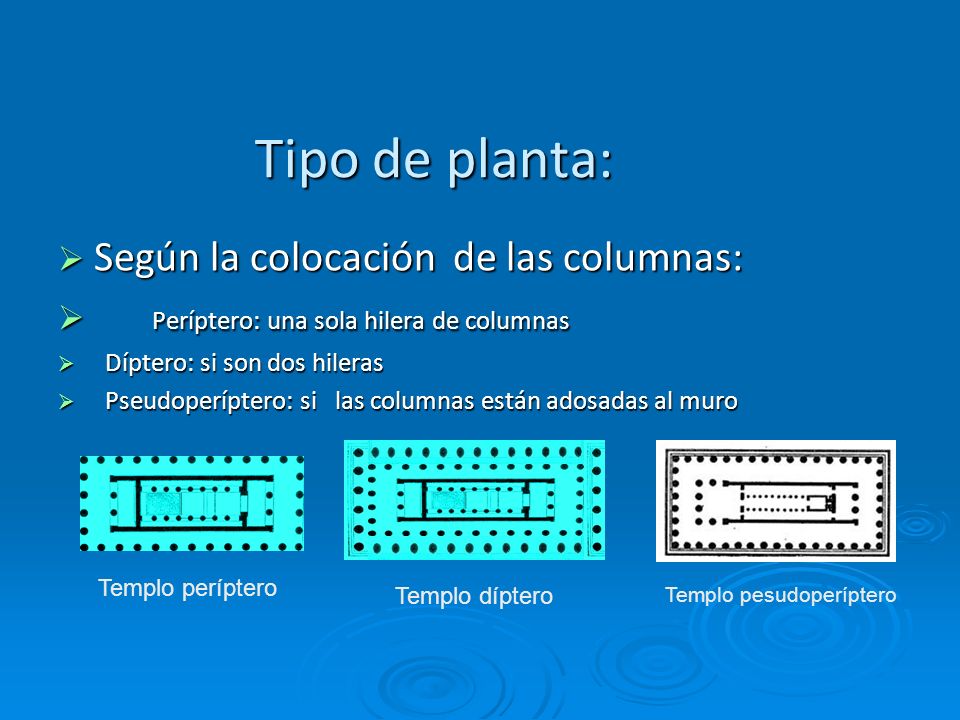 Tipo de planta: Según la colocación de las columnas: