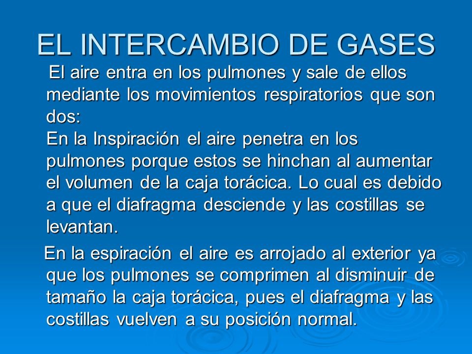 EL INTERCAMBIO DE GASES