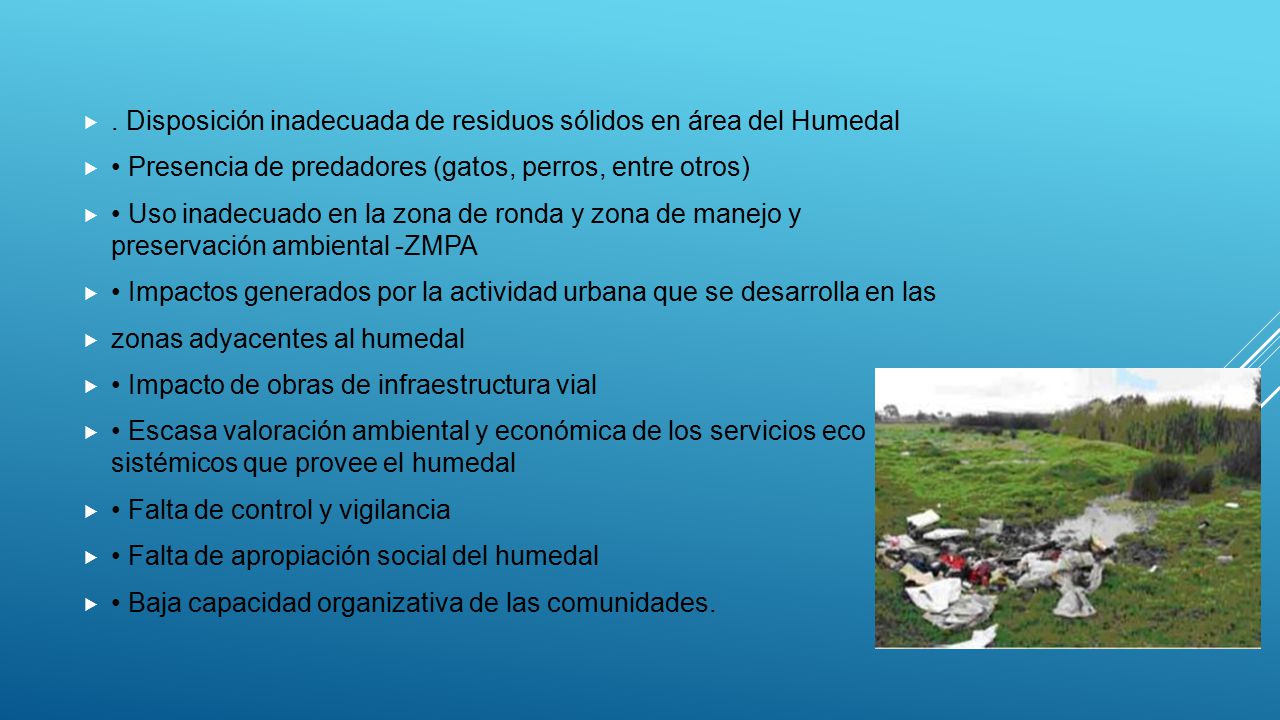 . Disposición inadecuada de residuos sólidos en área del Humedal
