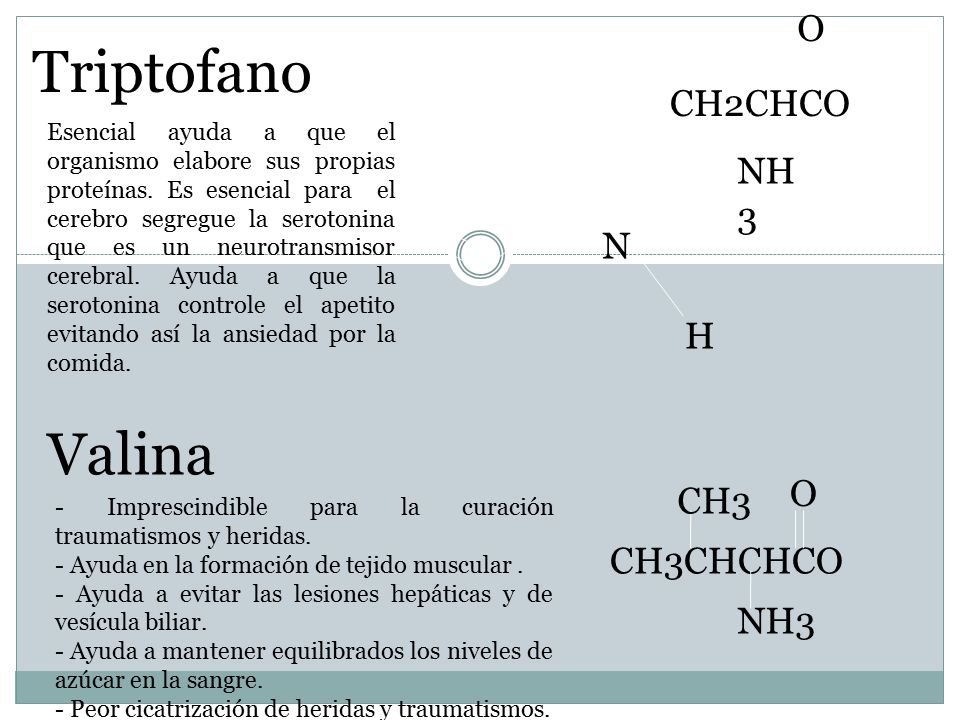 Triptofano Valina O CH2CHCO NH3 N H O CH3 CH3CHCHCO NH3