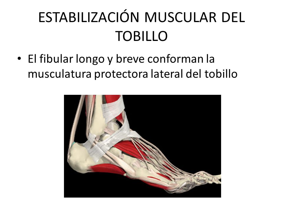 ESTABILIZACIÓN MUSCULAR DEL TOBILLO