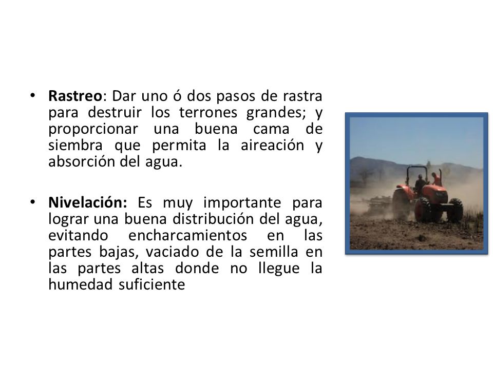 Rastreo: Dar uno ó dos pasos de rastra para destruir los terrones grandes; y proporcionar una buena cama de siembra que permita la aireación y absorción del agua.