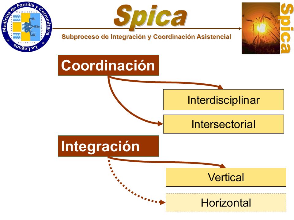 Spica Coordinación Integración Interdisciplinar Intersectorial