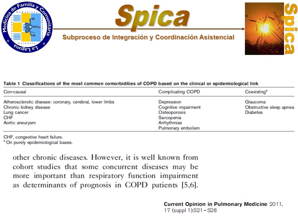 Spica Subproceso de Integración y Coordinación Asistencial