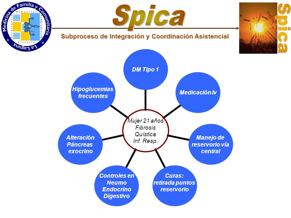 Spica Subproceso de Integración y Coordinación Asistencial