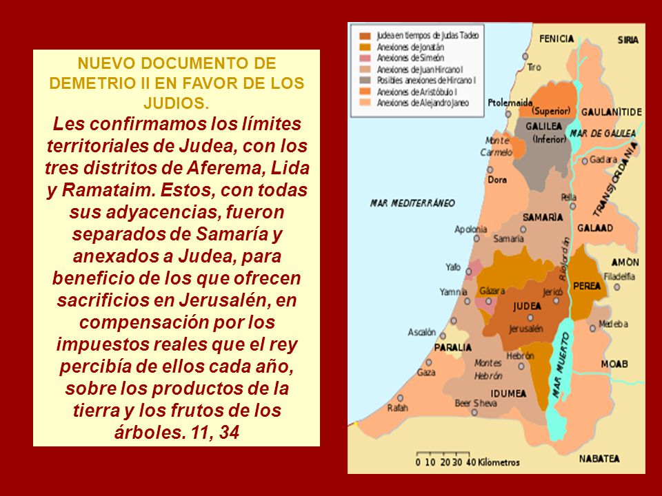 NUEVO DOCUMENTO DE DEMETRIO II EN FAVOR DE LOS JUDIOS.