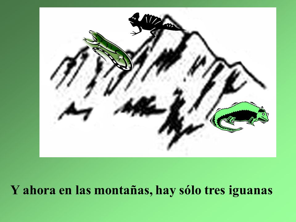 Y ahora en las montañas, hay sólo tres iguanas