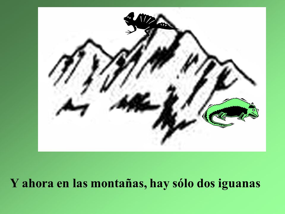 Y ahora en las montañas, hay sólo dos iguanas