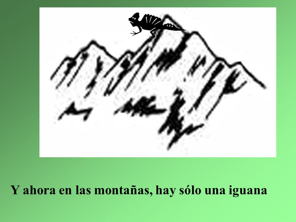 Y ahora en las montañas, hay sólo una iguana