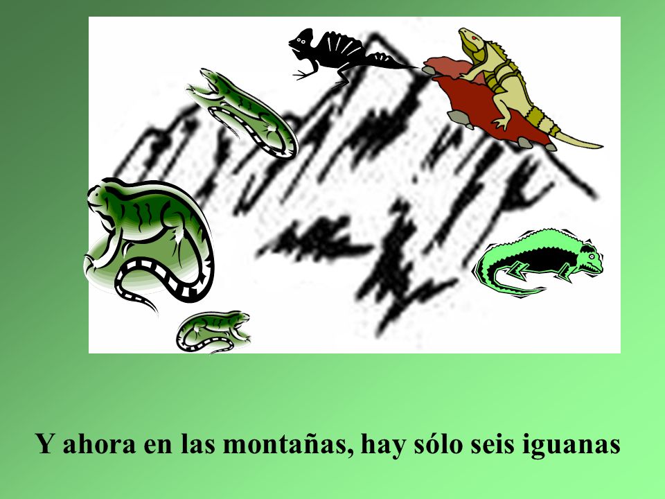 Y ahora en las montañas, hay sólo seis iguanas