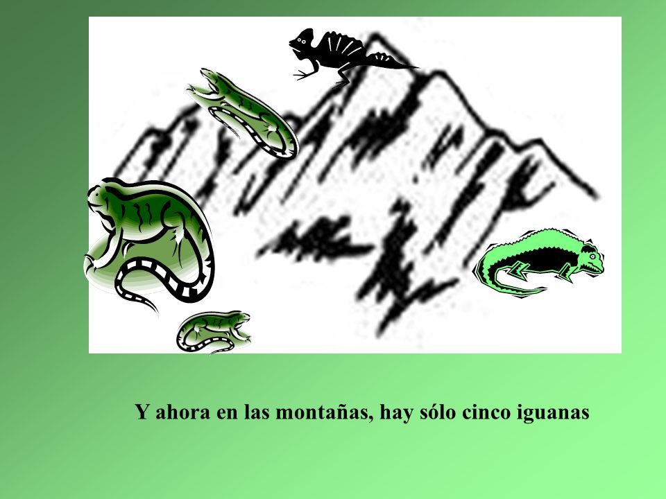Y ahora en las montañas, hay sólo cinco iguanas