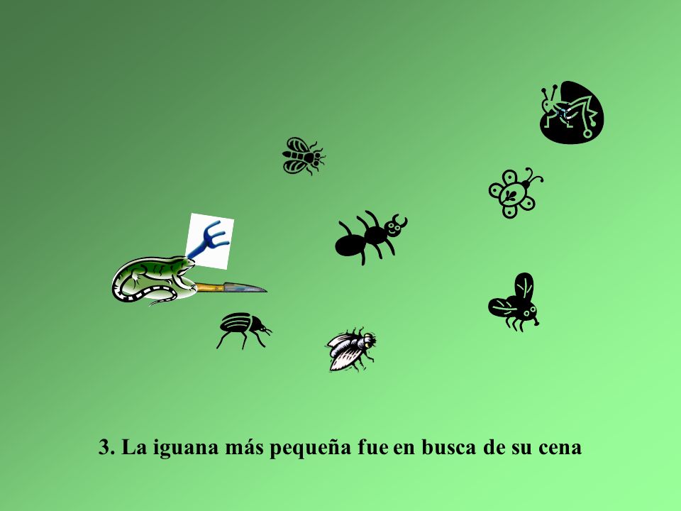 3. La iguana más pequeña fue en busca de su cena