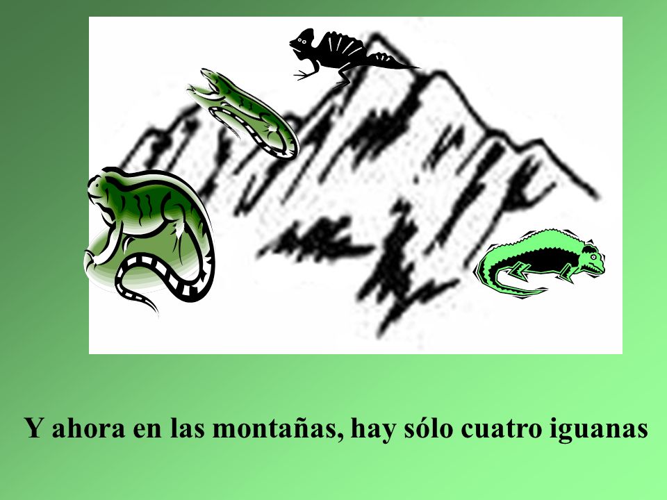 Y ahora en las montañas, hay sólo cuatro iguanas