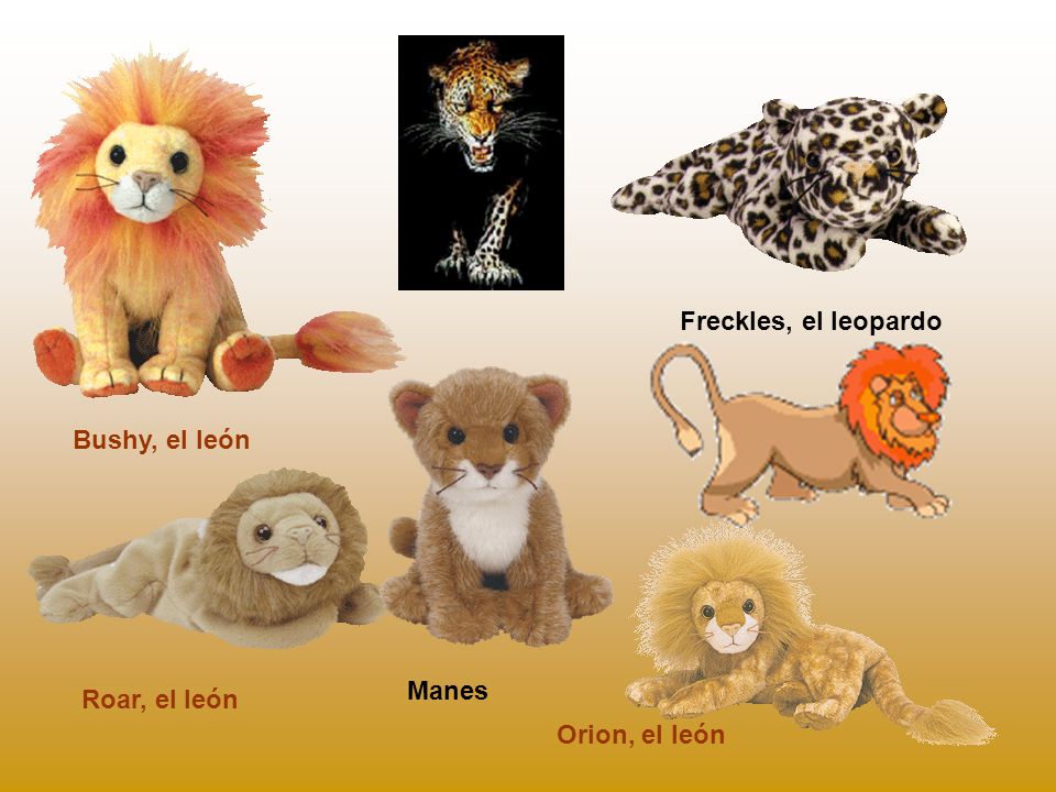 Freckles, el leopardo Bushy, el león Manes Roar, el león Orion, el león