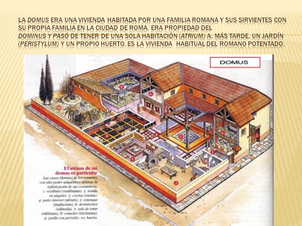 La domus era una vivienda habitada por una familia romana y sus sirvientes con su propia familia en la ciudad de Roma.