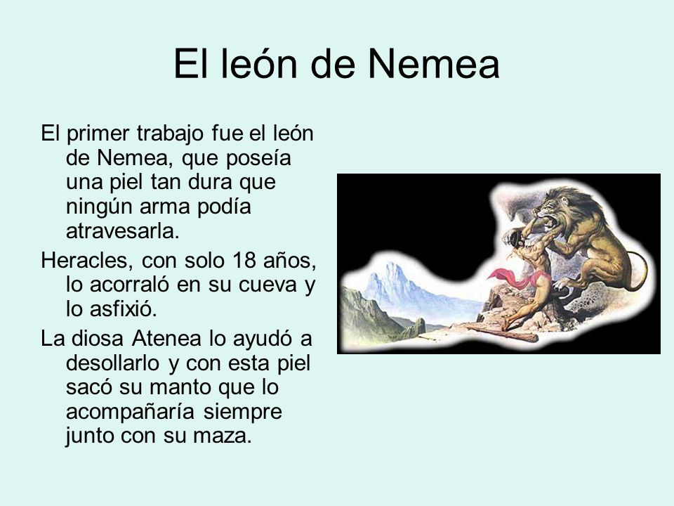 El león de Nemea El primer trabajo fue el león de Nemea, que poseía una piel tan dura que ningún arma podía atravesarla.