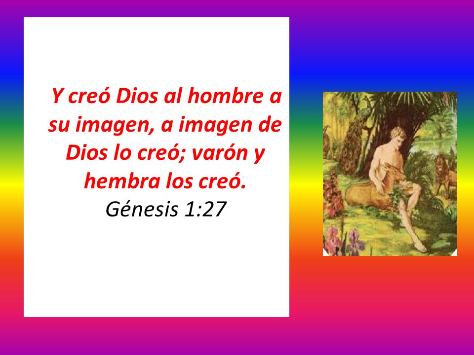 Y creó Dios al hombre a su imagen, a imagen de Dios lo creó; varón y hembra los creó. Génesis 1:27