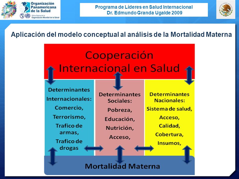 Aplicación del modelo conceptual al análisis de la Mortalidad Materna